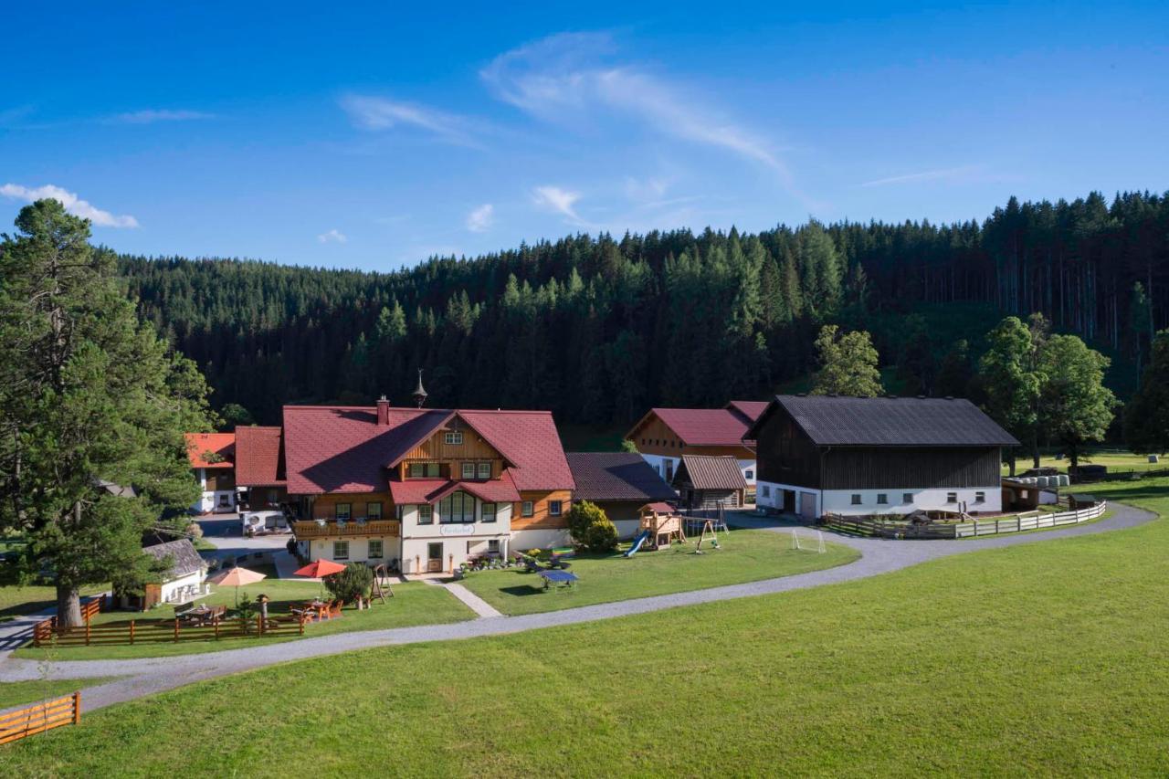Вилла Forsterhof Рамзау Экстерьер фото